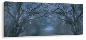 Obraz lesa v hmle (120x50 cm)