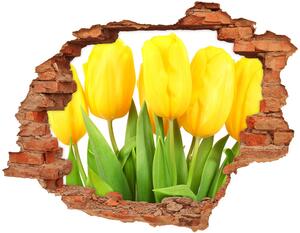 Foto fotografie diera na stenu Žlté tulipány