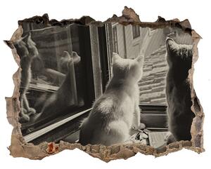 Díra 3D fototapeta nálepka Mačky v okne nd-k-86646592
