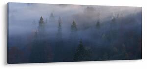 Obraz - Les v hmle, Karpaty, Ukrajina (120x50 cm)