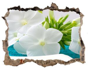 Fototapeta díra na zeď Biele kvety spa nd-k-89406381