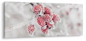 Obraz - Zamrznuté plody (120x50 cm)