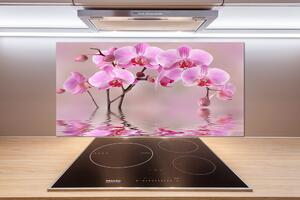 Panel do kuchyne Ružová orchidea pl-pksh-100x50-f-79883275
