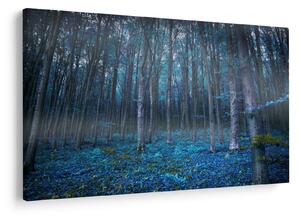 Obraz - Magický les (90x60 cm)