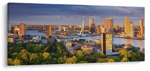 Obraz - Panorama Rotterdamu, Holandsko (120x50 cm)