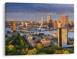 Obraz - Panorama Rotterdamu, Holandsko (70x50 cm)