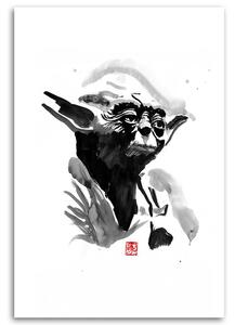 Obraz na plátne Star Wars, Yoda - Péchane Rozmery: 40 x 60 cm