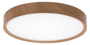BRILAGI - LED stropné svietidlo NATURA LED/20W/230V 4000K pr. 33,7 cm