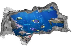 Diera 3D fototapeta nástenná Koralový útes