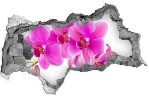 Samolepiaca diera nálepka Ružová orchidea nd-b-67673367