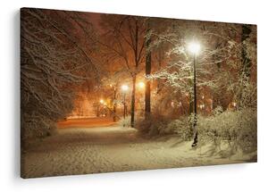 Obraz - Zasnežený park (90x60 cm)