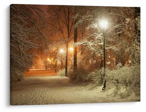 Obraz - Zasnežený park (70x50 cm)