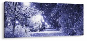 Obraz - Čarovná zimná noc (120x50 cm)