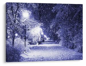 Obraz - Čarovná zimná noc (70x50 cm)