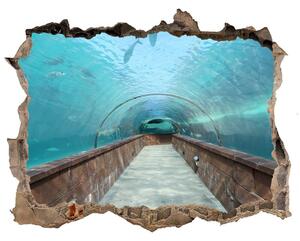 Fototapeta díra na zeď 3D Akvária tunel nd-k-82197217