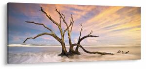 Obraz stromu v oceáne (120x50 cm)