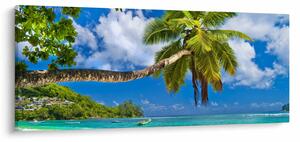 Obraz - Seychely (120x50 cm)