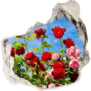 Diera 3D fototapety na stenu nálepka Divoká ruža