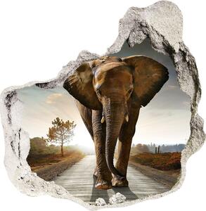Fototapeta diera na stenu 3D Walking slon nd-p-25742331