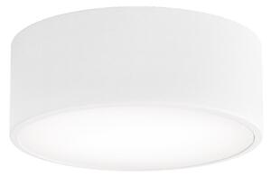 Kúpeľňové stropné svietidlo CLEO 1xE27/24W/230V pr. 20 cm biela IP54