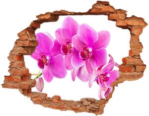 Samolepiaca diera nálepka betón Ružová orchidea