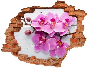 Samolepiaca diera na stenu Orchidea na dreve nd-c-118409675