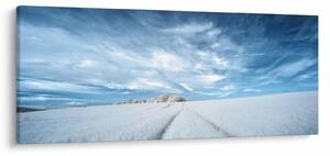 Obraz poľa (120x50 cm)