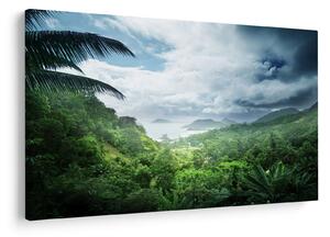 Obraz - Seychelská jungle (90x60 cm)