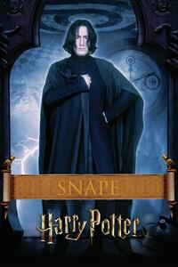 Umelecká tlač Harry Potter - Snape
