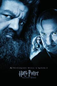 Umelecká tlač Harry Potter - Hagrid & Lupin