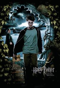 Umelecká tlač Harry Potter - Harry