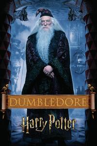 Umelecká tlač Harry Potter - Dumbledore