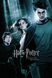 Umelecká tlač Harry Potter - Prisoner of Azkaban