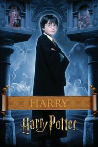 Umelecká tlač Harry Potter - Harry