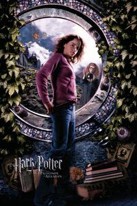 Umelecká tlač Harry Potter - Hermione, (26.7 x 40 cm)