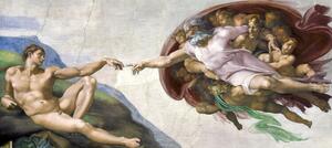 Obrazová reprodukcia Hands of God and Adam, Michelangelo Buonarroti