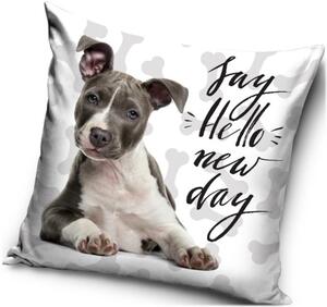 Vankúš s Pitbullom - motív Say hello new day - Pozdrav nový deň - 40 x 40 cm