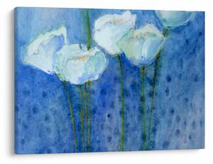 Obraz - Biele tulipány (70x50 cm)
