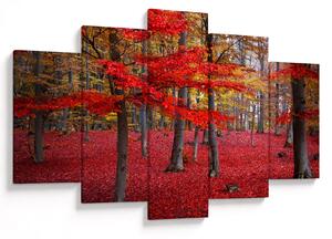 Obraz - Červený les (150x105 cm)