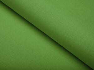 Biante Dekoračná obliečka na vankúš s lemom Leona LN-099 Zelená žíhaná 40 x 40 cm