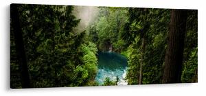 Obraz - Priezor medzi stromami (120x50 cm)