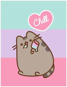 Coral fleece deka mačička Pusheen - motív Chill - 130 × 170 cm