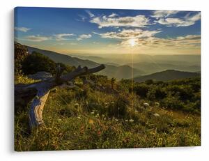 Obraz - Výhľad do okolia (70x50 cm)