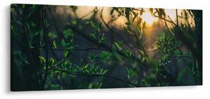 Obraz presvitajúceho slnka cez vetvičky stromov (120x50 cm)