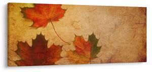 Obraz s jesenným motívom (120x50 cm)