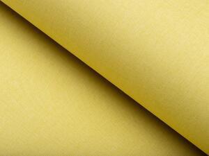 Biante Dekoračná obliečka na vankúš BKW-209 Žltozelené žíhanie 30 x 50 cm