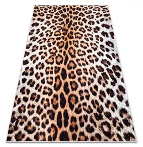Kusový koberec Acoma hnedý 80x150cm