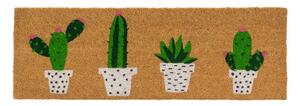 Rohožka z kokosového vlákna 25x75 cm Cactus – Casa Selección