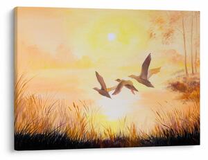 Obraz - Žeriavy pri západe slnka (70x50 cm)