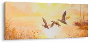 Obraz - Žeriavy pri západe slnka (120x50 cm)
